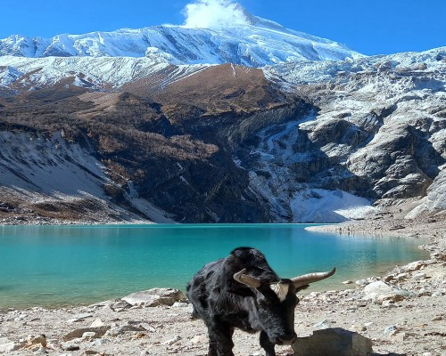 Birendra Lake In Manaslu