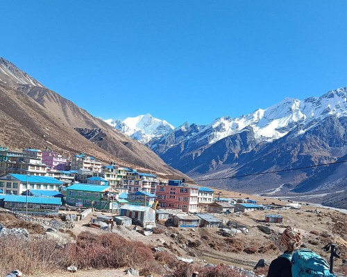 Langtang View