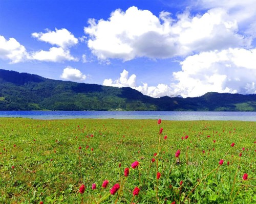Megical Scene Of Rara Lake