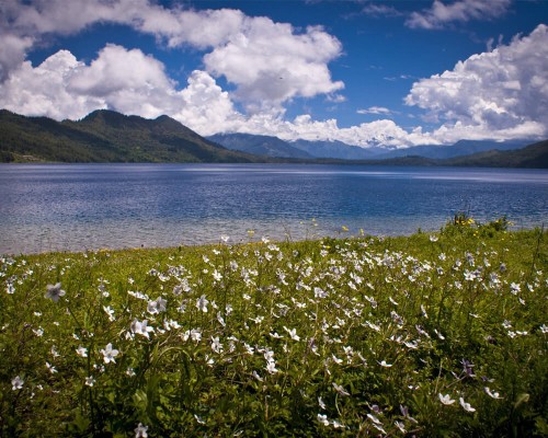 Rara Lake In Monsoon