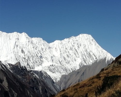 Tilicho Peak